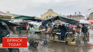 Киоски и павильоны в Брянске приведут к единому стандарту