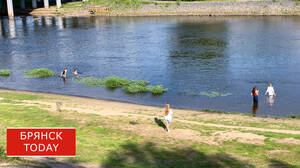 Из-за адской жары брянцам разрешили уходить с работы на 4 часа раньше