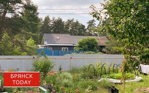 В Жуковском районе куры принесли сильные нравственные страдания женщине