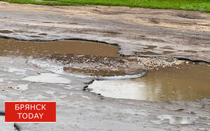 В Дятьковском районе устранили подтопление участков после прорыва водопровода