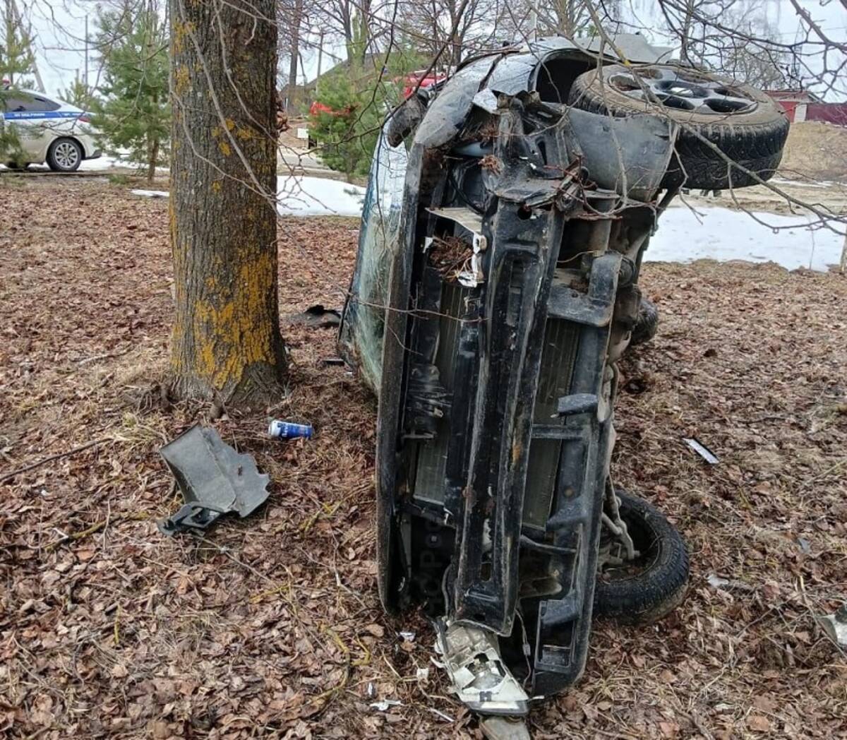 В поселке Любохна легковушка врезалась в дерево и опрокинулась