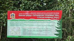 В Навлинском районе установили аншлаги на глухариных токах