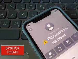 Стали известны самые частые схемы мошенничества на Брянщине за неделю