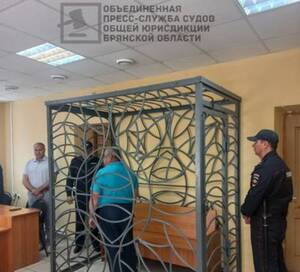 Житель Унечи осужден за убийство матери