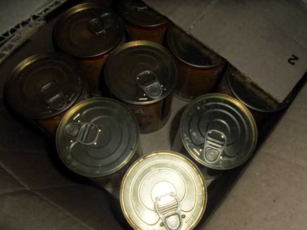 На Брянщину не пустили тонну консервов для кошек и собак из Беларуси