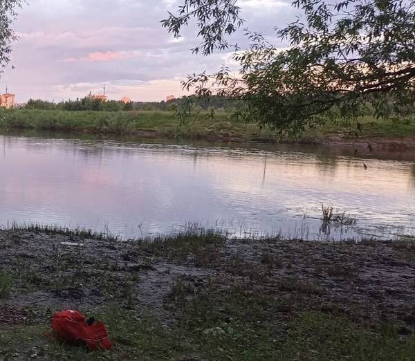 В Бежицком районе Брянска вечером 12 июня в реке Десне утонул школьник