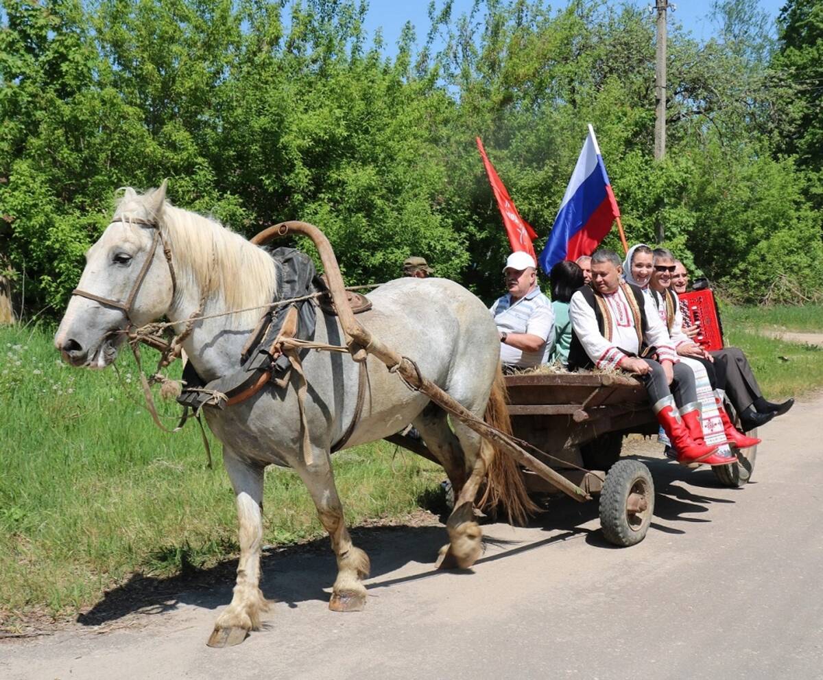 Подари лошадку