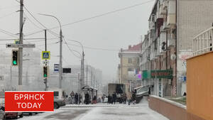 Оранжевый уровень погодной опасности ввели на Брянщине