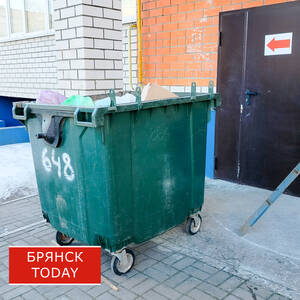 Вывоз мусора и утилизация отходов: особенности и правила проведения