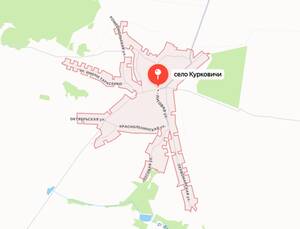 Дроны ВСУ атаковали остановку в Курковичах: женщины с детьми прятались под деревьями