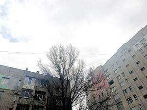 Дожди и похолодание пообещали брянцам синоптики 10 октября