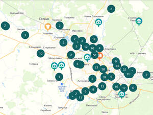 Брянцев призвали сдать новогодние деревья на переработку
