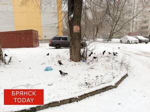 Два погодных предупреждения объявили брянцам синоптики