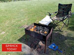 Во сколько брянской семье обойдется шашлык: подсчеты экспертов