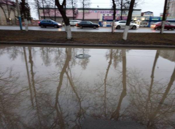 Тротуар возле лицея №27 ушел под воду в Брянске