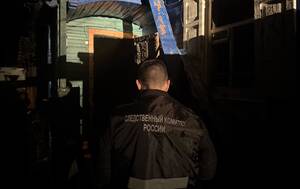 Уголовное дело завели по факту гибели двух пожилых супругов в Злынке