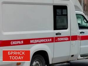 Под Брянском водитель микроавтобуса насмерть сбил 61‑летнего мужчину