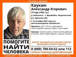 Под Брянском завершили поиски пропавшего 73-летнего пенсионера