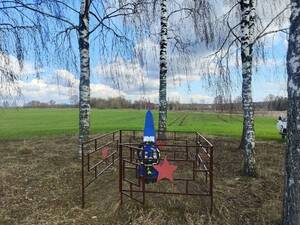 Сотрудники «Россети Центр» благоустроили более 40 памятников и мемориалов ВОВ в Брянской области