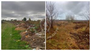 В Красногорском районе убрали свалку площадью почти гектар