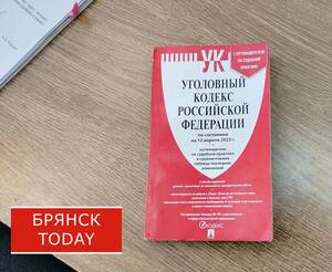 В Брянске 32-летняя уголовница попалась на серии краж их супермаркета