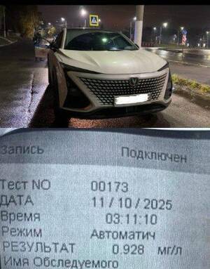 В Брянске задержан пьяный водитель, пытавшийся сбежать от ДПС