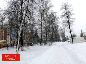 Жёлтый уровень опасности ввели в Брянской области