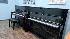 Стародубская ДШИ получила новые музыкальные инструменты