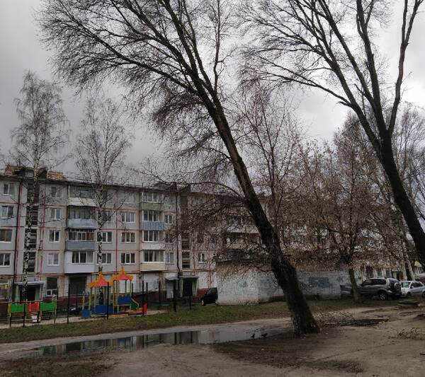 В Брянске огромное дерево может рухнуть на детскую площадку на Орловской