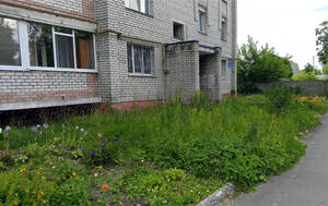 Мэрия осталась недовольна состоянием дворов в Бежицком районе