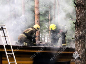 Брянцам показали кадры крупного пожара в «Раздолье»