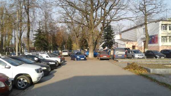 Жителя Брянска шокировала парковка возле Майского парка