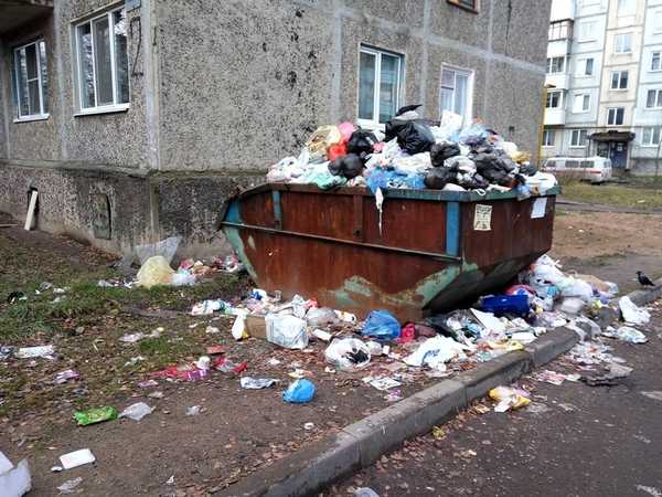 Рогнединских чиновников заставят обустроить мусорные площадки