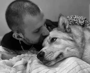 В Брянске из приюта в добрые руки передали 553 собаки