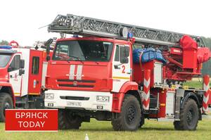 За сутки в Брянской области сгорело 10 тысяч «квадратов» сухой травы