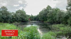 Брянские отдыхающие больше не смогут плавать на матрасах