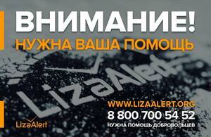 «ЛизаАлерт» просит жителей Брянска помочь в поиске утонувших детей