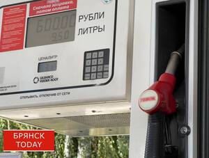 Для управления лесами Брянской области закупят бензин на 800 тысяч рублей