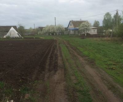 Под Трубчевском огородники захватили под картошку часть дороги