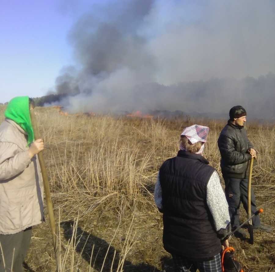 В Брасовском районе местные жители тушили горящую траву