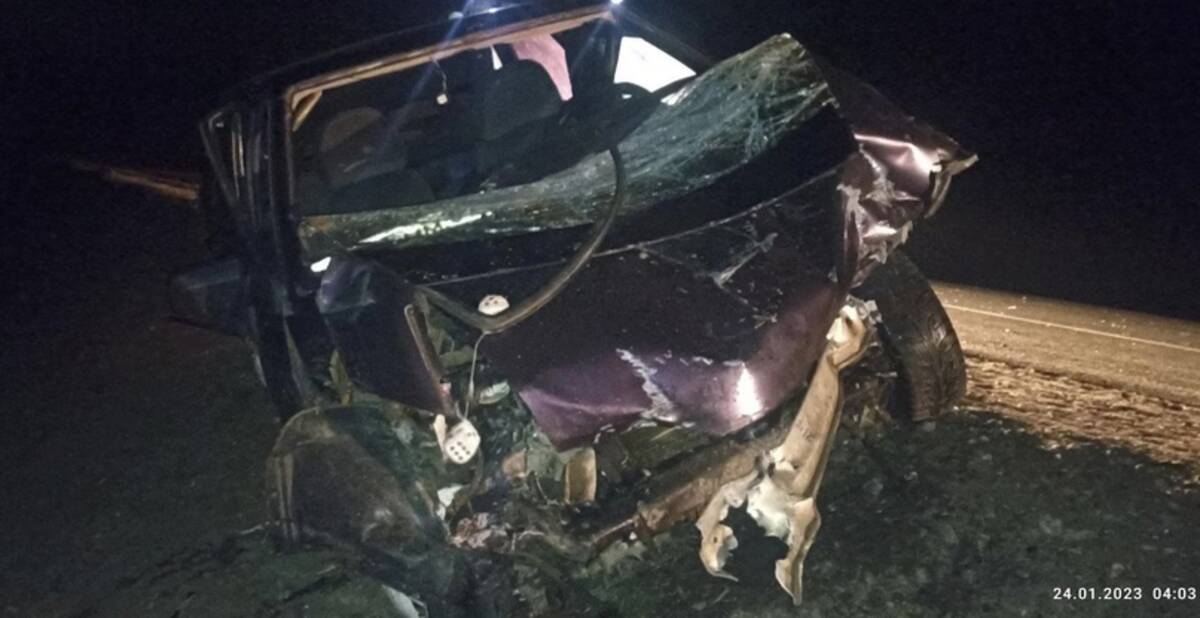 На брянской трассе пьяный водитель сбил дикое животное 