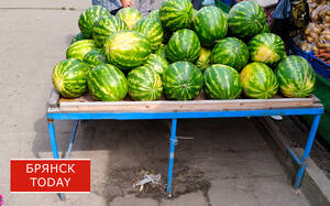 Из Брянской области в Белоруссию пытались вывезти сомнительные арбузы