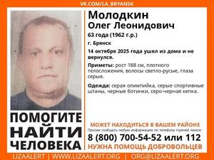 В Брянске бесследно исчез 63-летний Олег Молодкин