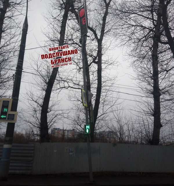 Напротив вокзала «Брянск-I» заметили падающий светофор
