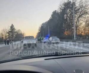 Под Брянском «уазик» врезался в цыганскую повозку, лошадь погибла