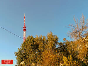 Георгиевская лента появится на телебашне в Брянске 22 июня