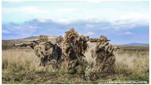 Атака беспилотников на Брянщину продолжалась всю ночь