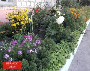 После однодневной жары Брянская область попрощается с летом