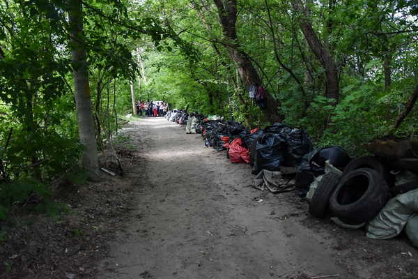 Брянцы убрали горы мусора рядом с озером Чертовица