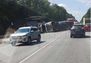 ЧП на трассе: Под Брянском перевернулась фура